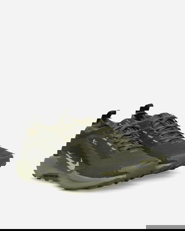 Tenisice i cipele Nike Pegasus Trail 5 GORE-TEX Zelena | HQ7494-300, 2