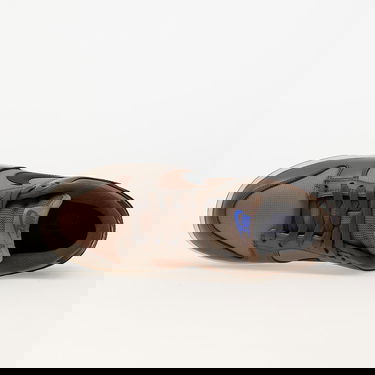 Tenisice i cipele Nike Dunk Low Ironstone Smeđa | FZ2552-001, 3