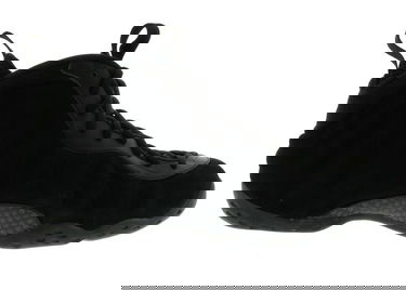 Tenisice i cipele Nike Air Foamposite One Black Suede Crna | 575420-006, 0