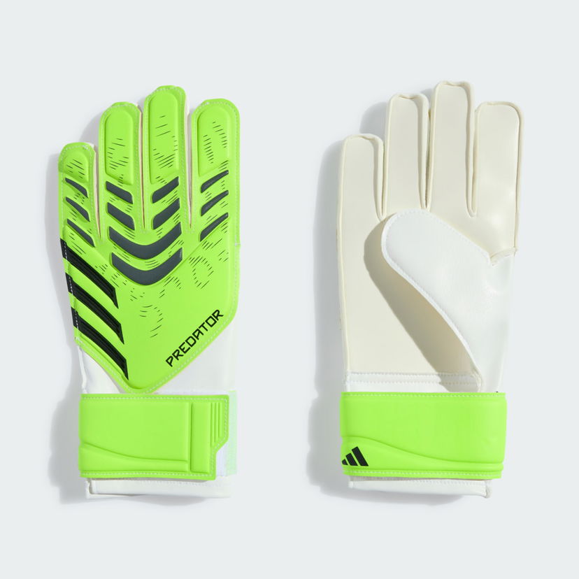 Rukavice adidas Performance Predator Training Goalkeeper Gloves Zelena | JN5362