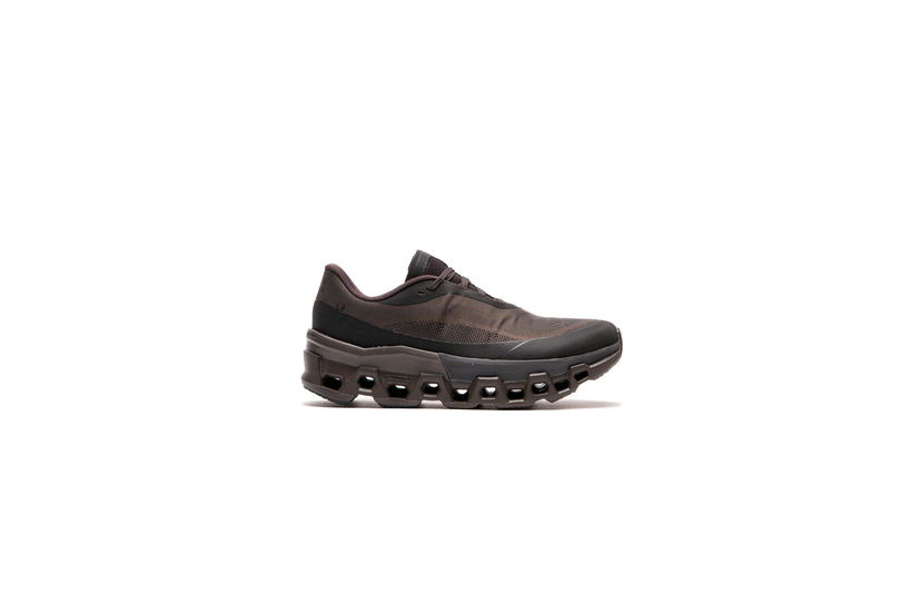 Tenisice i cipele On Running On Running x PAF Cloudmonster 2 Smeđa | 3WE10353940