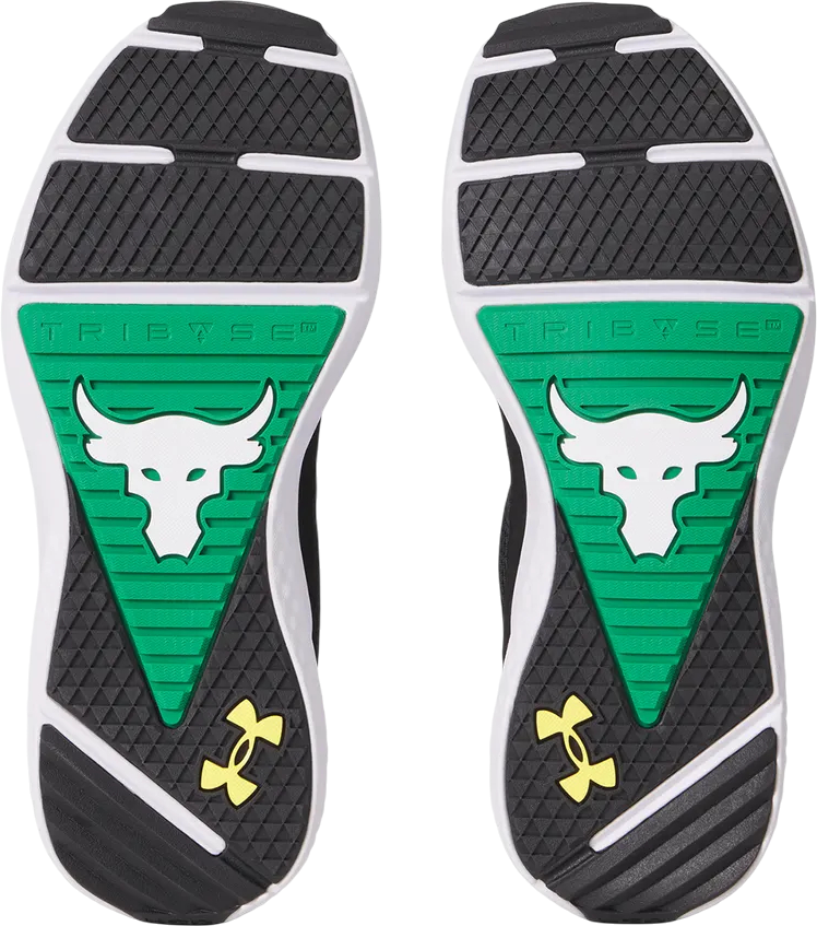 Tenisice i cipele Under Armour Project Rock BSR 5 UFC Crna | 3028283-004, 1