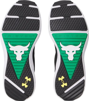 Tenisice i cipele Under Armour Project Rock BSR 5 UFC Crna | 3028283-004, 1