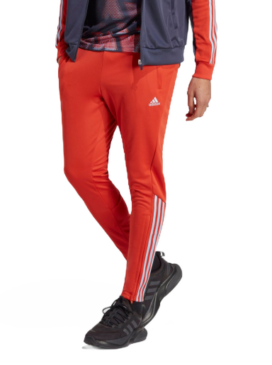 Trenirka adidas Originals Tiro Pants Crvena | HS1039