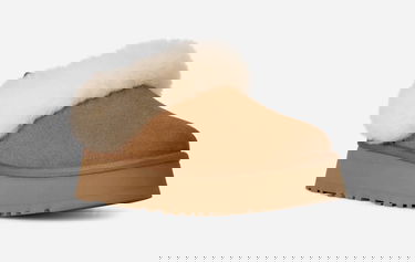 Tenisice i cipele UGG Tazzelle Slippers Smeđa | 1171393-CHE, 1