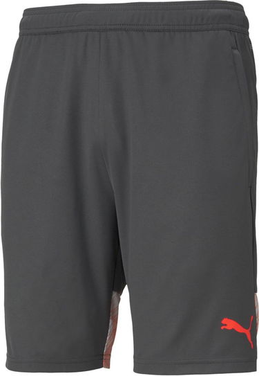 Kratke hlače Puma individualCUP Shorts Siva | 65721341, 0