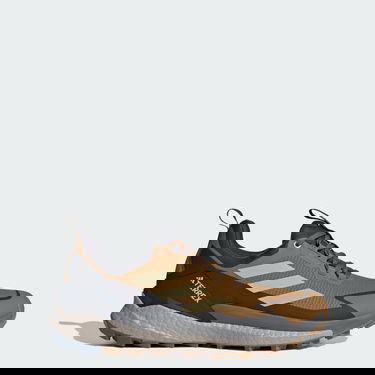 Tenisice i cipele adidas Performance Terrex Free Hiker 2.0 Low Gore-Tex Smeđa | JP5611, 0
