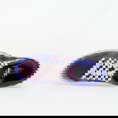 Tenisice i cipele Nike Dunk Low Retro SE Viotech Ljubičasta | IB6400-400, 3