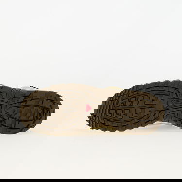 Tenisice i cipele Salomon Acs Pro Gtx Bež | L47736200, 1