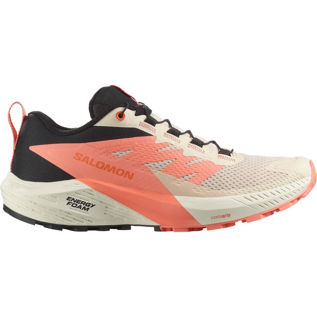 Tenisice i cipele Salomon Sense Ride 5 Bež | L47808700