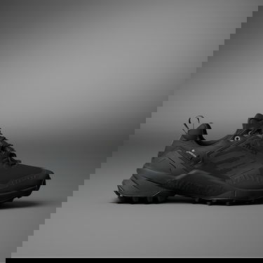 Tenisice i cipele adidas Performance Terrex Swift R3 GTX Crna | IE7634, 0