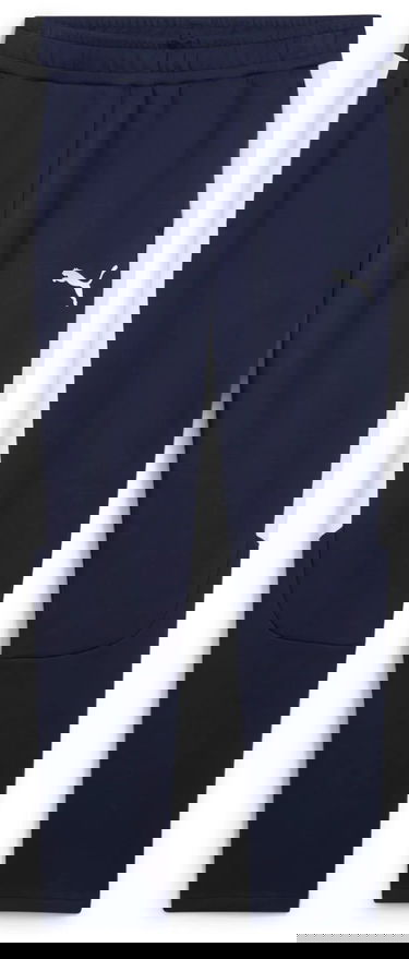 Trenirka Puma Puma teamEVOSTRIPE Pants Tamnoplava | 659948-06, 0