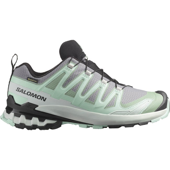 Tenisice i cipele Salomon Xa Pro 3D v9 GTX Zelena | L47823100