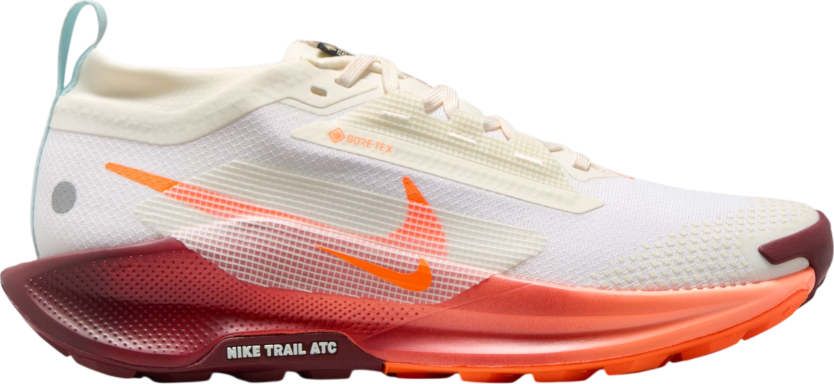 Tenisice i cipele Nike Pegasus Trail 5 GORE-TEX Bijela | fq0912-104, 0