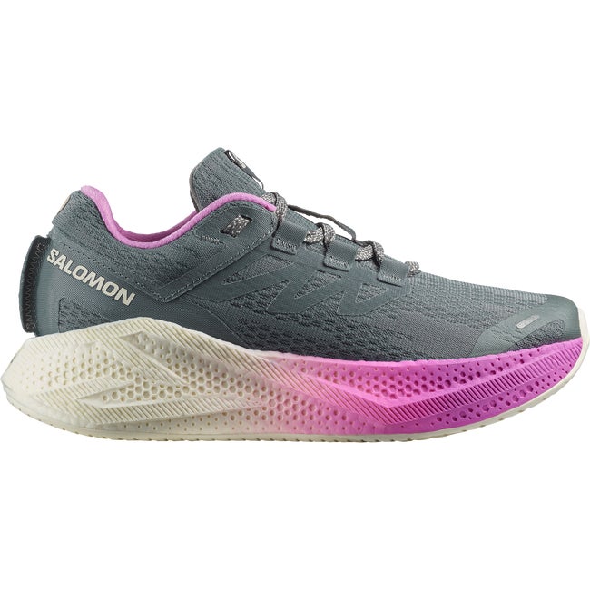 Tenisice i cipele Salomon Aero Glide 3 Višebojno | L47975800
