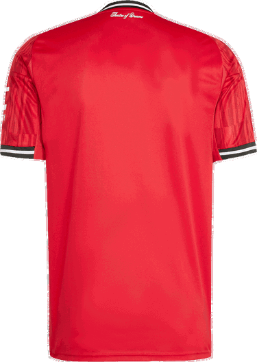 Dres adidas Performance Manchester United 25/26 Home Jersey Crvena | JI7428, 1