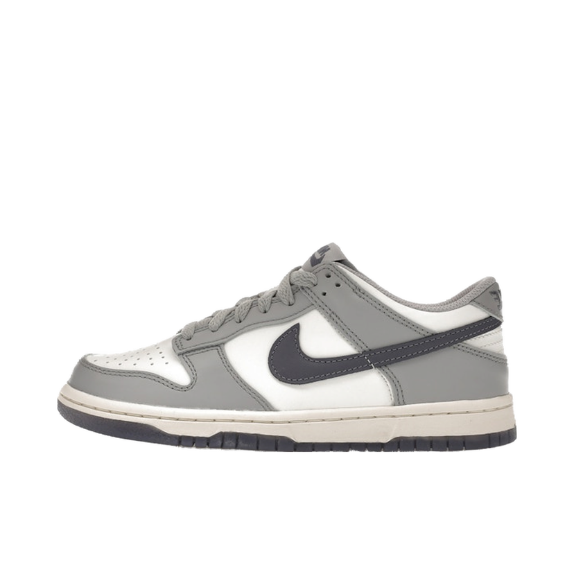 Tenisice i cipele Nike Dunk Low Siva | FB9109-101