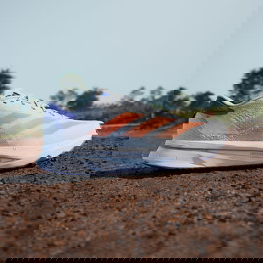 Tenisice i cipele adidas Performance ADIZERO SL 2 Bijela | ih8194, 5