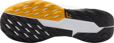 Tenisice i cipele Nike Pegasus Trail 5 GORE-TEX Bež | fq0912-003, 4