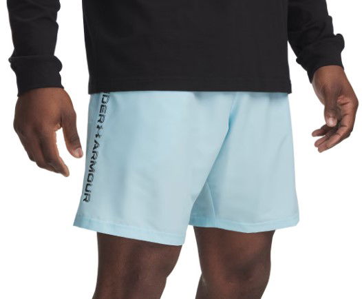 Kratke hlače Under Armour UA Tech Woven Wordmark Shorts Plava | 1383356-494