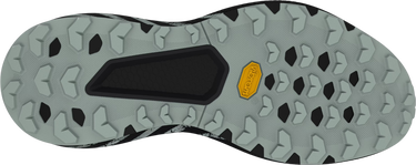 Tenisice i cipele Dynafit Dynafit Trail Graphic Siva | 08-0000064114-0925, 1