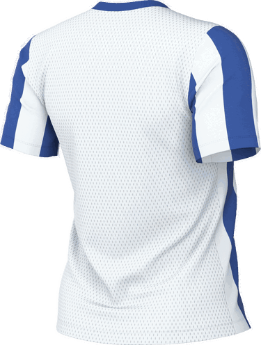 Dres Nike Striped Division V V-Neck Jersey with Mesh Panels Višebojno | fz9339-101, 1