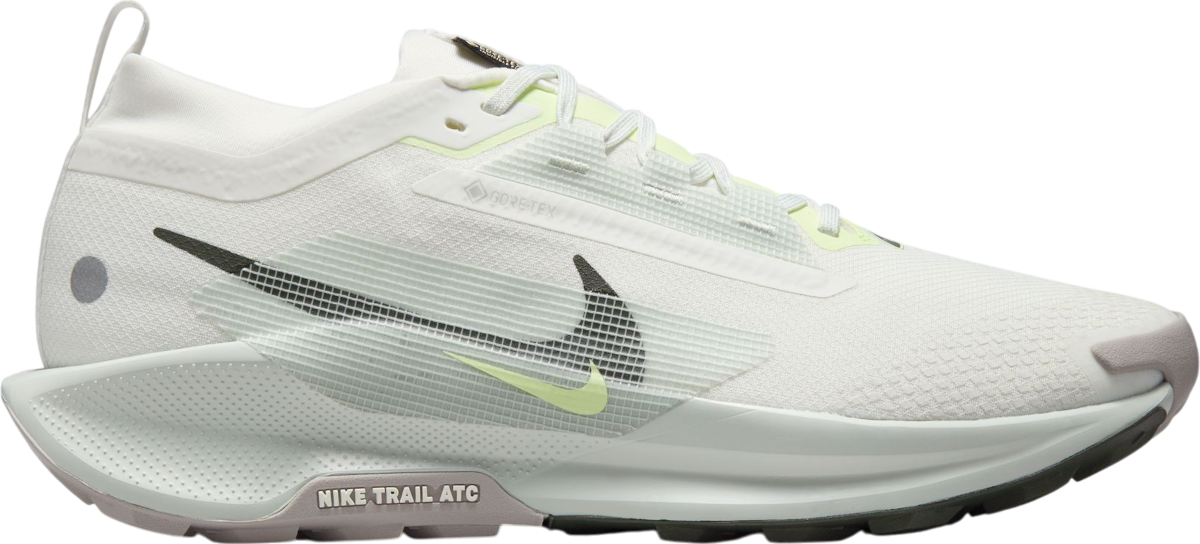 Tenisice i cipele Nike Pegasus Trail 5 GORE-TEX Bijela | fq0908-102, 0