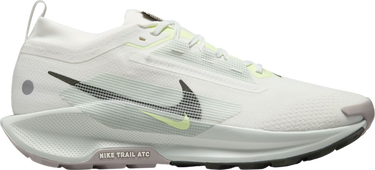 Tenisice i cipele Nike Pegasus Trail 5 GORE-TEX Bijela | fq0908-102, 0
