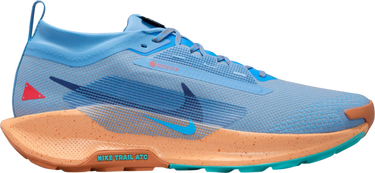 Tenisice i cipele Nike Pegasus Trail 5 GORE-TEX Plava | fq0908-400, 0