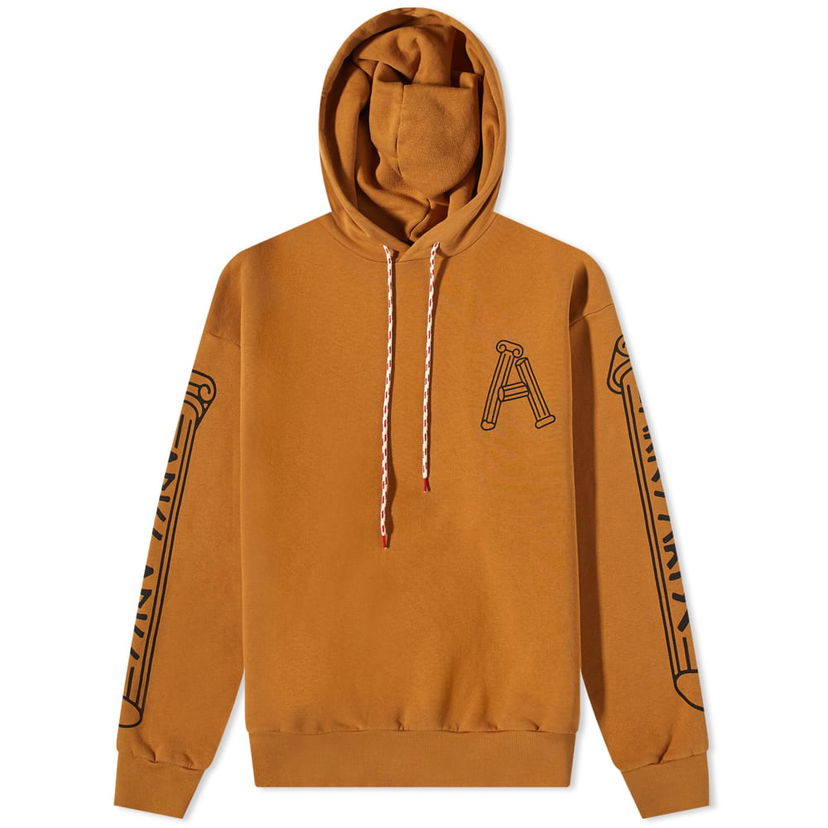 Dukserice Aries Aries Column Hoody Smeđa | FTAR20010-CML