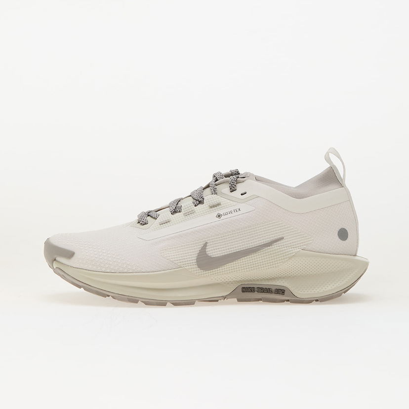 Tenisice i cipele Nike Pegasus Trail 5 Gore-Tex Bež | HQ7494-100