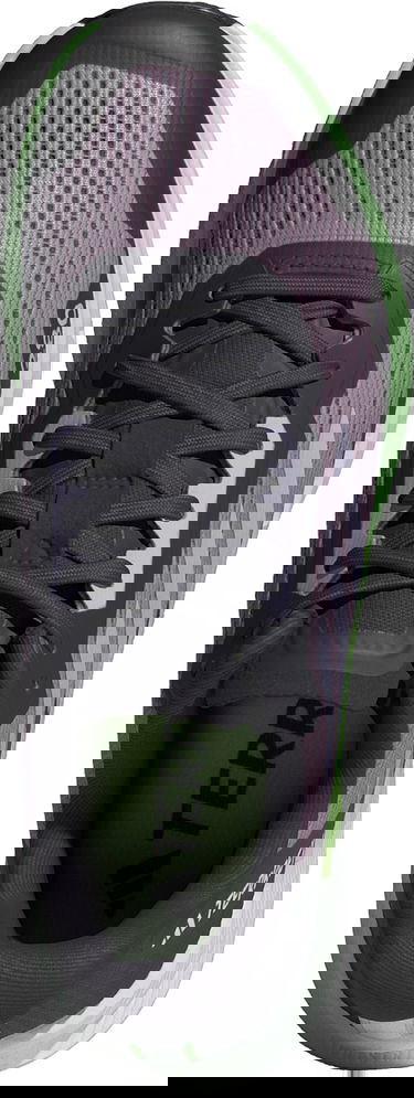 Tenisice i cipele adidas Performance adidas Terrex TERREX AGRAVIC FLOW 2 W Crna | id2504, 3