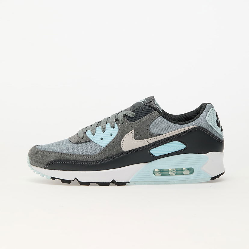 Tenisice i cipele Nike Air Max 90 Light Siva | DM0029-009