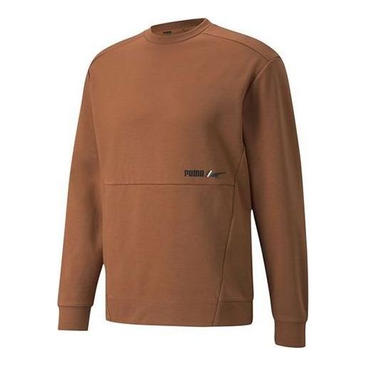 Džemper Puma Winterized Crew Logo Sweatshirt Smeđa | 846545-17