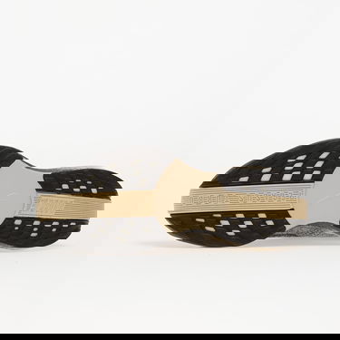 Tenisice i cipele Nike Pegasus Plus Crna | IH4113-140, 1