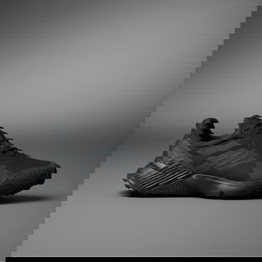 Tenisice i cipele adidas Performance Terrex Soulstride RAIN.RDY Trail Running "Core Black" Crna | IE7636, 0