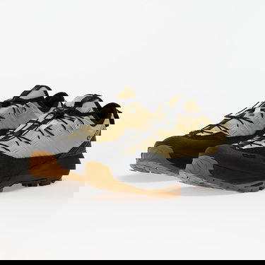 Tenisice i cipele Salomon ALPINWAY ADVANCED Paleol/ Black/ Ice Bež | L47859600, 5