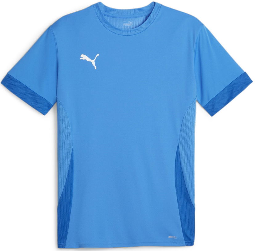 Dres Puma teamGOAL Matchday Jersey Tirkiz | 705747-02