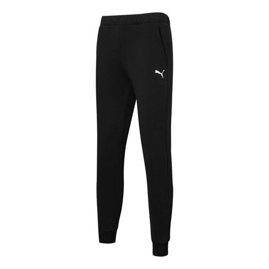 Trenirka Puma Sports Pants Crna | 848733-01