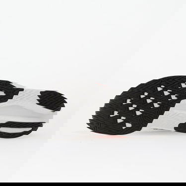 Tenisice i cipele New Balance Fuelcell Rebel v5 Višebojno | MFCXNY5, 1
