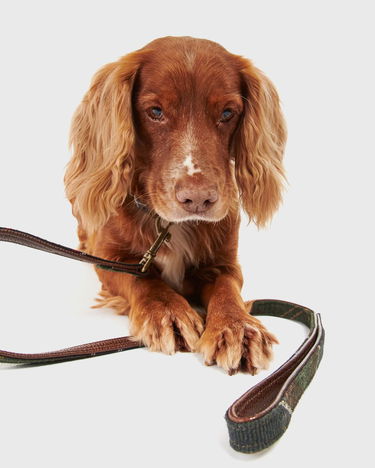 Dodaci Barbour Classic Tartan Dog Lead Višebojno | DAC0009TN11, 1