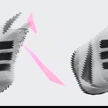 Tenisice i cipele adidas Performance Duramo SL 2 Siva | IF9396, 2