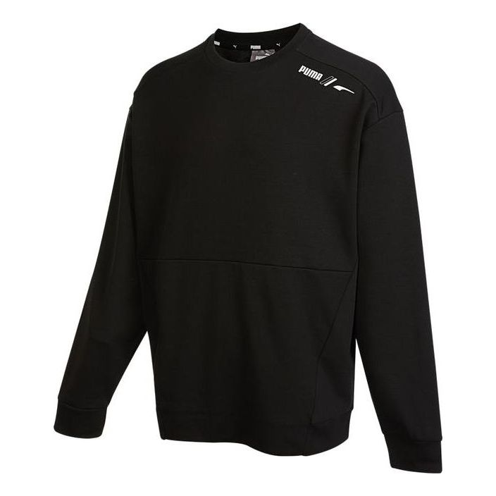 Džemper Puma Crew Neck Sweatshirt Crna | 672474-01