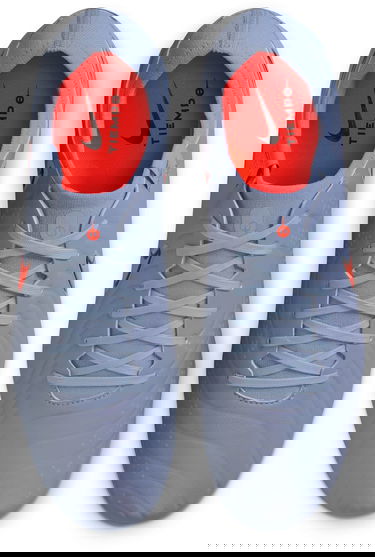 Tenisice i cipele Nike LEGEND 10 PRO FG Siva | dv4333-402, 7