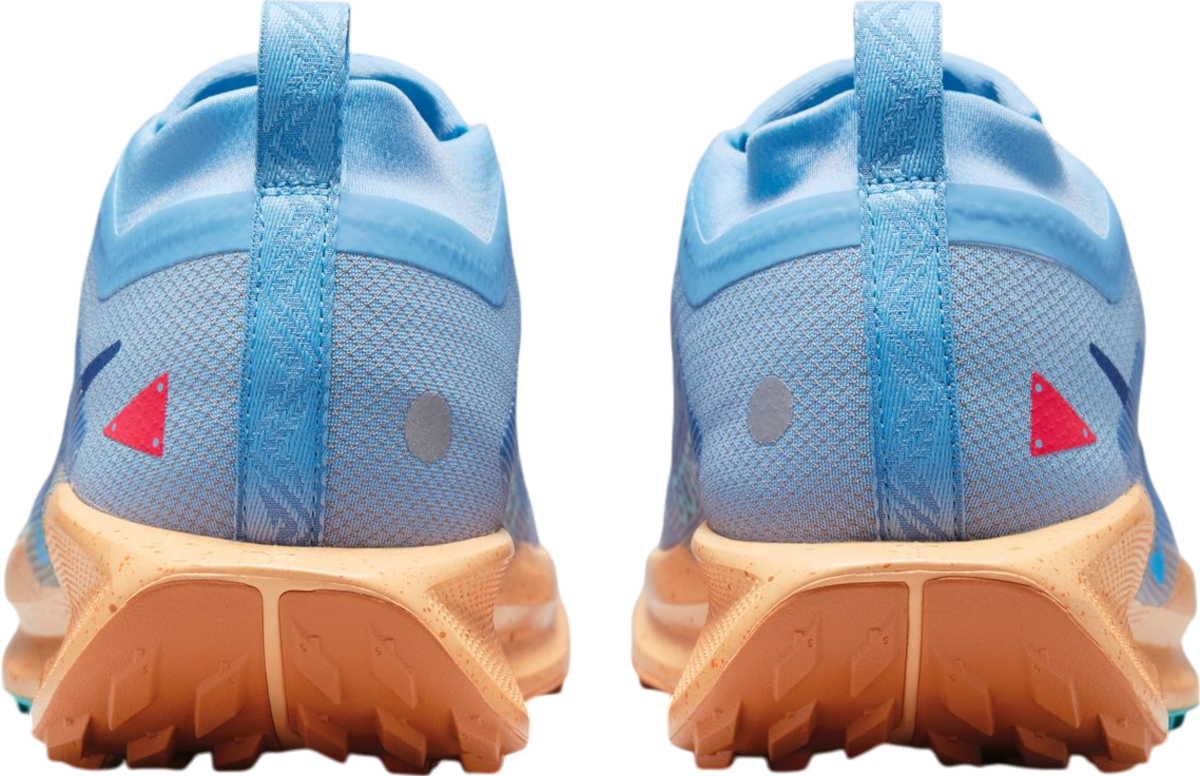 Tenisice i cipele Nike Pegasus Trail 5 GORE-TEX Plava | fq0908-400, 1