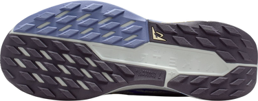 Tenisice i cipele Nike Pegasus Trail 5 Plava | dv3865-403, 4