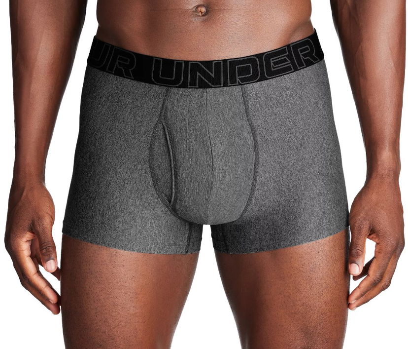 Bokserice Under Armour Under Armour Perf Tech 3in Boxer Briefs Siva | 1383877-025