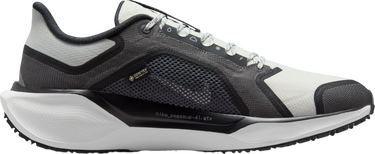 Tenisice i cipele Nike Pegasus 41 GORE-TEX Crna | fq1356-002, 3