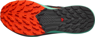 Tenisice i cipele Salomon SENSE RIDE 5 Zelena | l47698200, 2