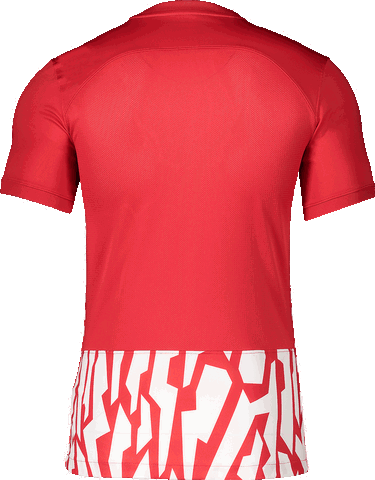 Dres Nike Nike DF GX1 Jersey Crvena | dr2713-657, 1